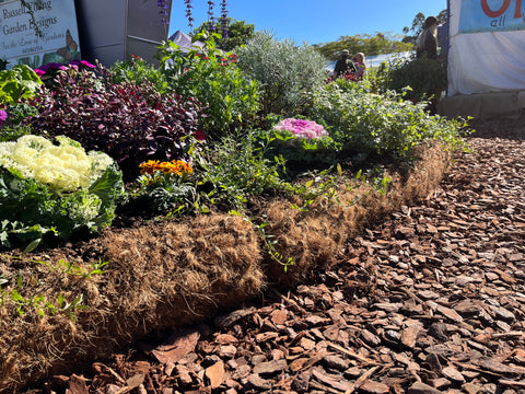 The Best Plants for Erosion Control in Australian Gardens and Properties
