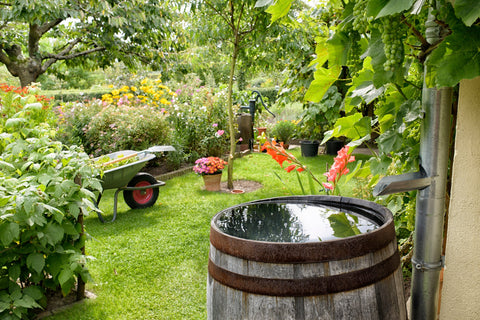 How to Build a Rain Garden / Biorentention Basin to Manage Stormwater