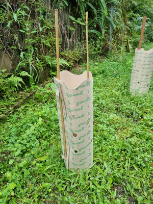 GreenPOD Biodegradable Tree Guards 450mm & 600mm High - 25 Pack