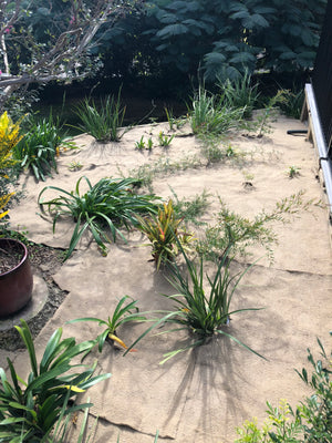 Jute Matting - 750gsm