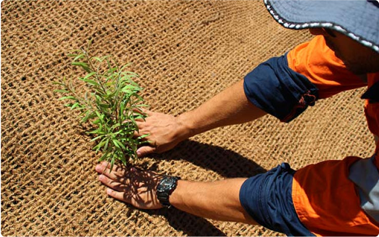 Service Featured Image