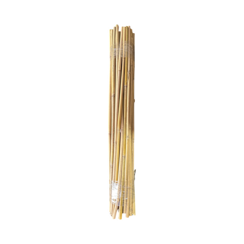Bamboo Stakes 700mm & 900mm - 50 Pack