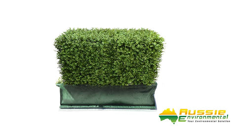 Hedge Planter Bag - Pack of 5 Bags