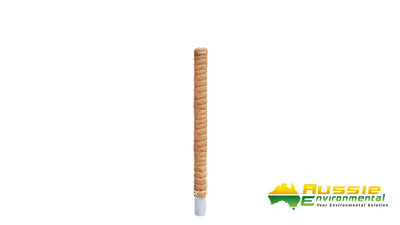 Coir Totem Plant Poles (Natural) - Sold in Pack of 4
