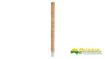 Coir Totem Plant Poles (Natural) - Sold in Pack of 4