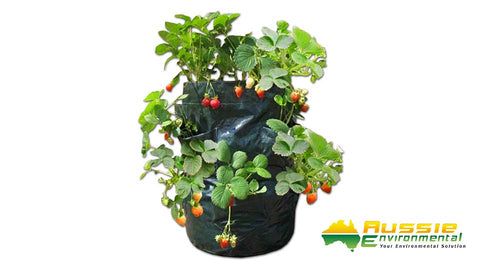 Strawberry / Herb Planter Bag - 8 Pocket (Pack of 5 Bags)
