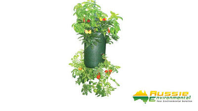 Upside Down Tomato Planter - Pack of 5