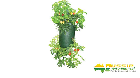 Upside Down Tomato Planter