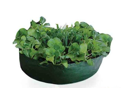 Raised Garden Bed - Pack of 5
