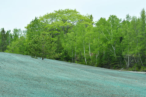 Optimising Slope Stabilisation with Hydromulching