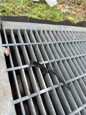 Drain Filter Oil & Sediment