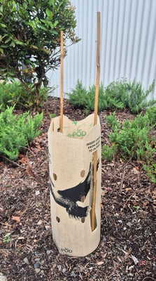 GreenPOD 450mm Biodegradable Tree Guards - 25 Pack