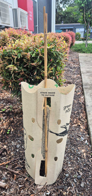 GreenPOD 450mm Biodegradable Tree Guards - 25 Pack