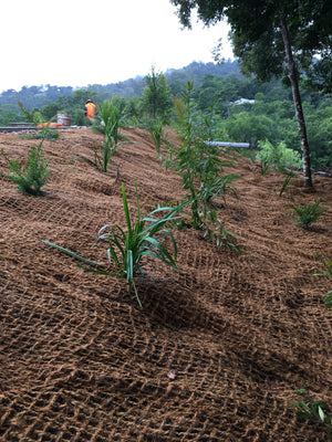 Coir Mesh Bricks