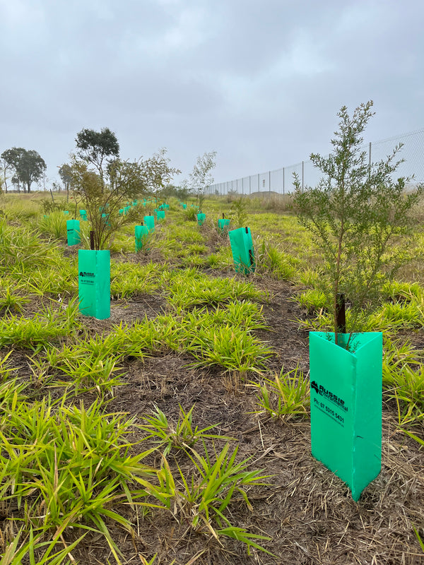Tree Guards: Leading Plastic Tree Protection in Australia [2024 ...