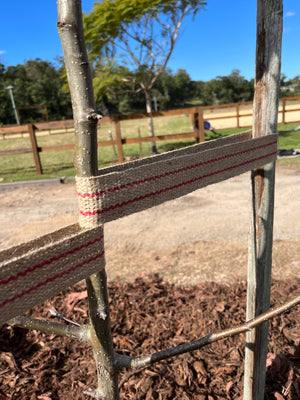 Jute Webbing - Plant Tree Ties 50mm x 33m