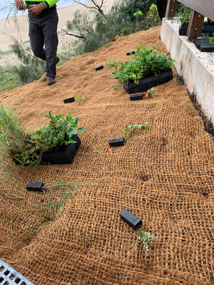 Coir Mesh Bricks