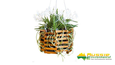 Wooden Orchid Basket - Octagonal