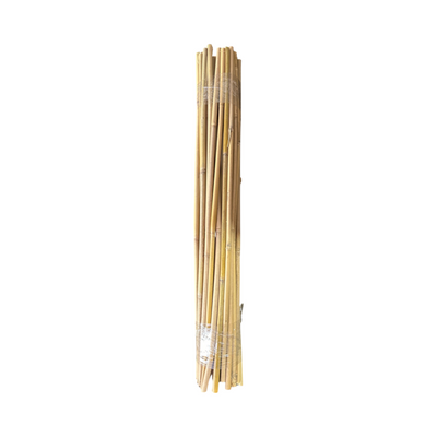 Bamboo Stakes 700mm x 10-12mm Diameter - 50 Pack