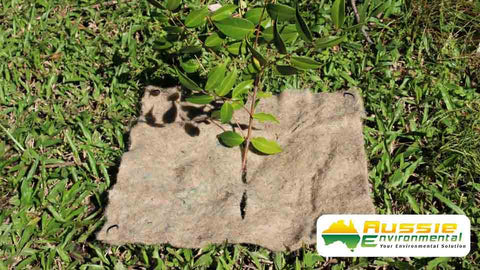 Jute Mat Squares (Pack of 50)