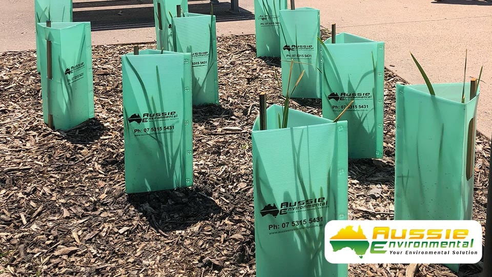 Tree Guards: Leading Plastic Tree Protection in Australia [2024 ...