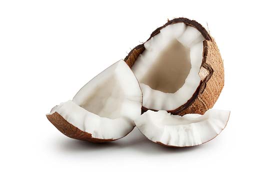 coconut open blog